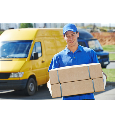 Consegna ed installazione in azienda - Eventuali manutenzioni e Servizi di Assistenza