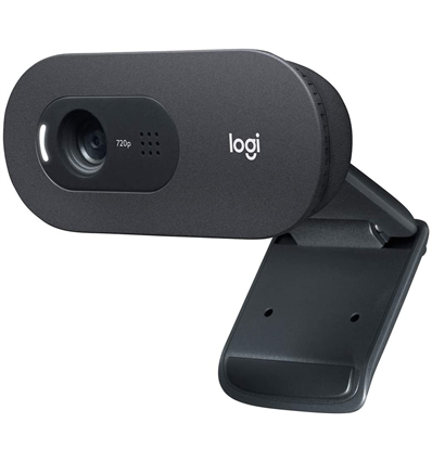 Webcam Logitech C505 (960-001364)