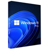 Licenza Sistema Operativo Windows 10 Pro 64Bit COA STICK OEI