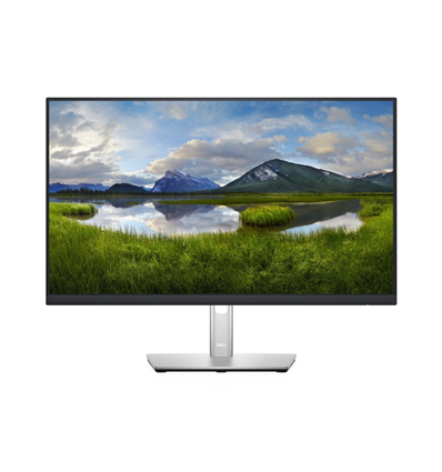 DELL 24 MONITOR P2422H 60, 5CM (23, 8) 3Y BASE ADVEX