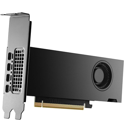 Scheda Video Nvidia Quadro RTX 2000 Ada 16GB Retail