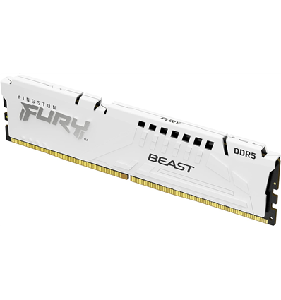 Memoria RAM DDR5 32GB PC 5600 Kingston FURY Beast Expo KF556C36BWE-32 weiß