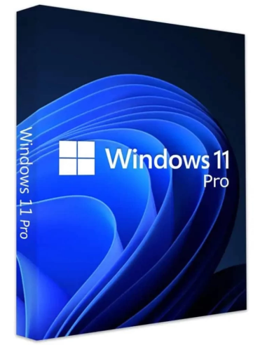 Licenza Sistema Operativo Windows 10 Pro 64Bit COA STICK OEI
