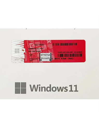 Licenza Sistema Operativo Windows 10 Pro 64Bit COA STICK OEI